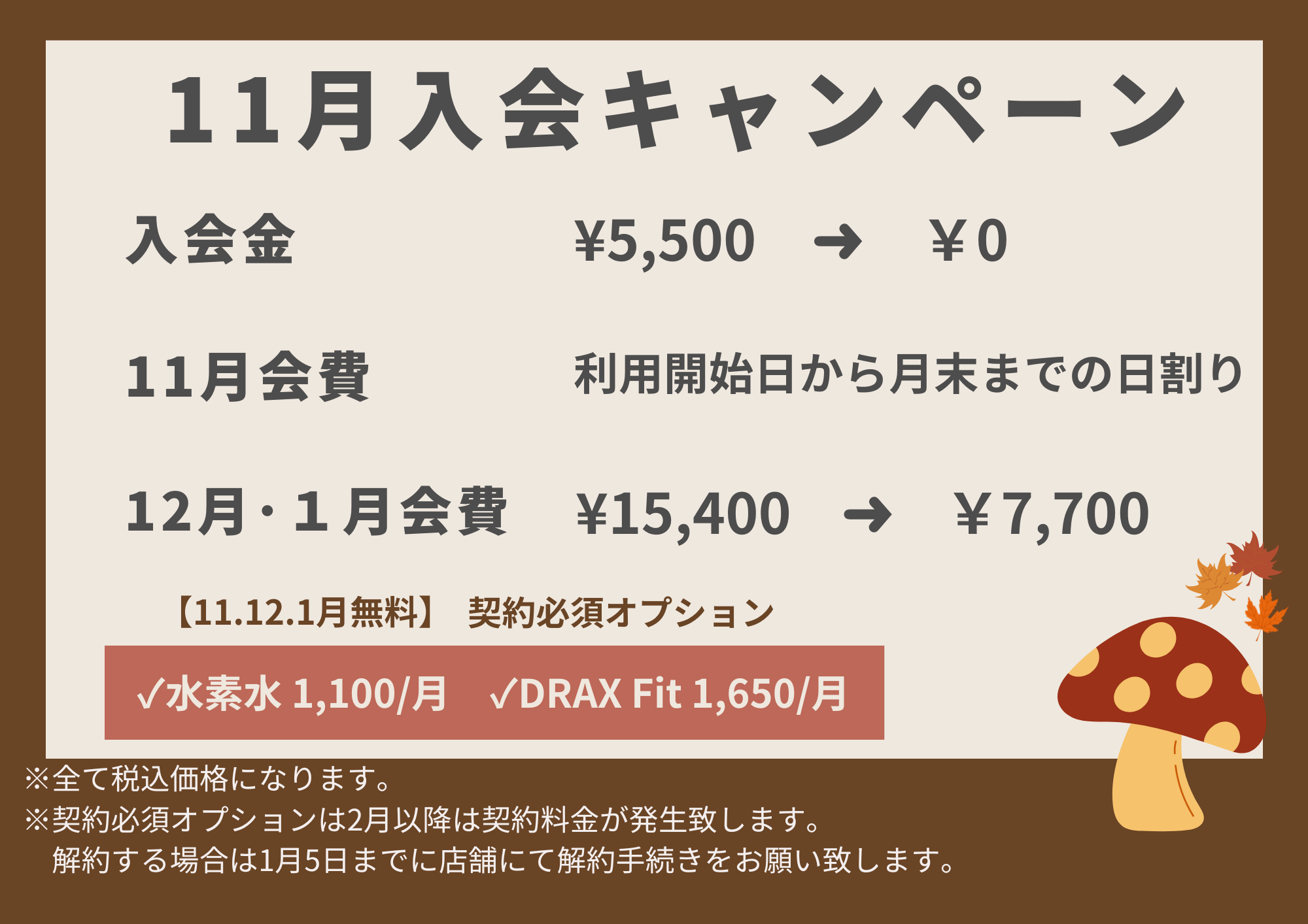 11月入会キャンペーン