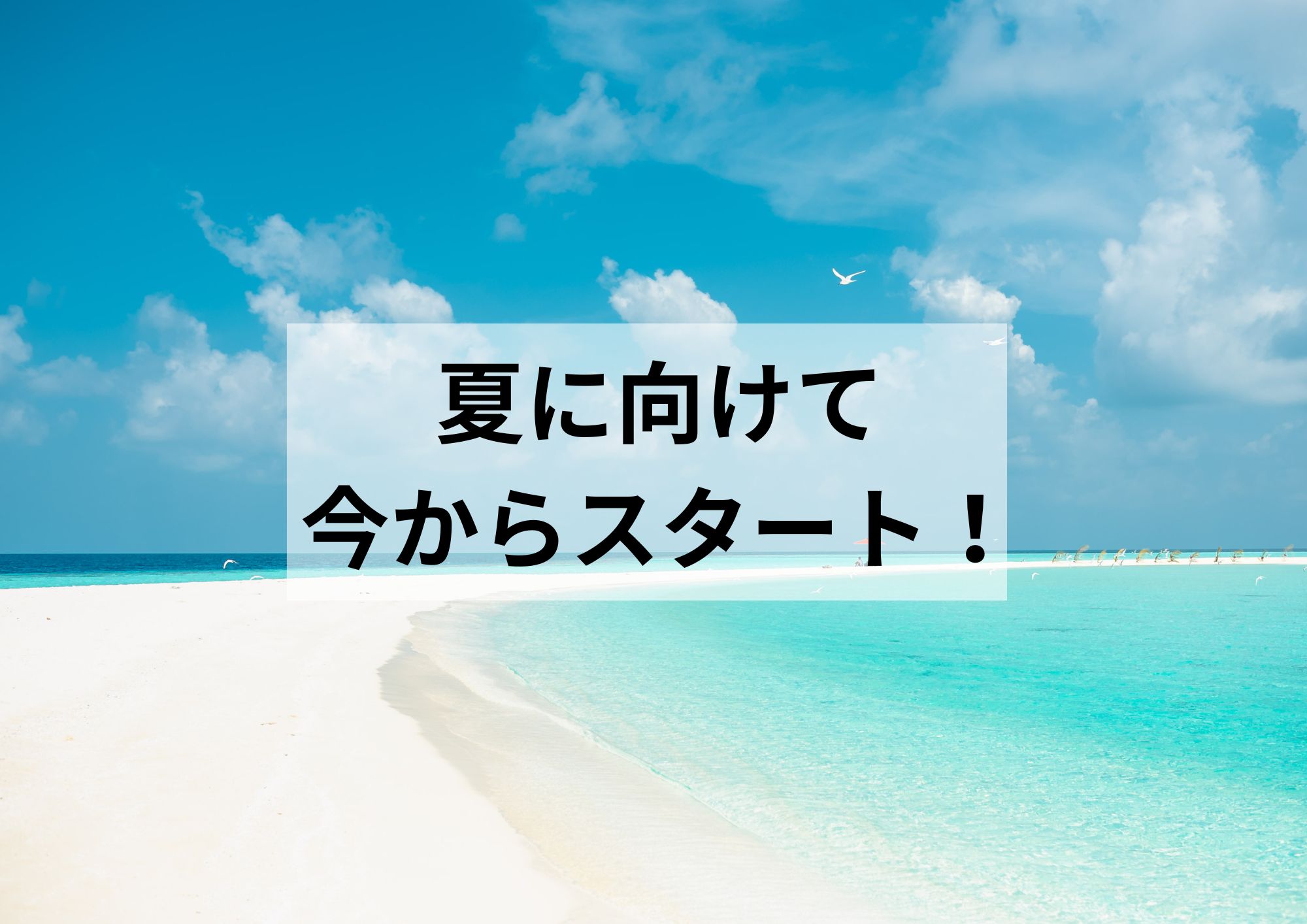夏に間に合わせる!今から始めるC.Pbase24のジム習慣