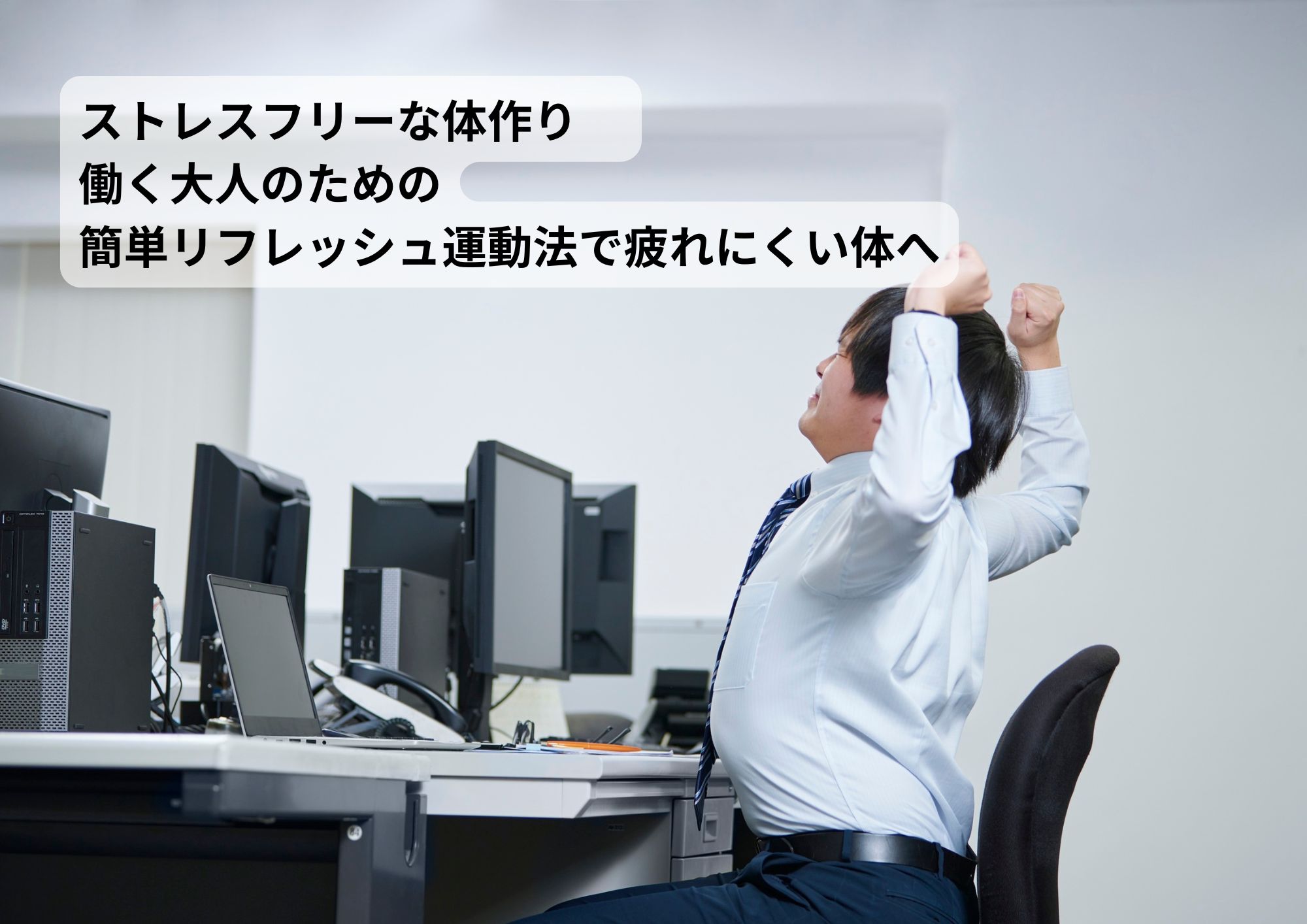 ストレスフリーな体作り 働く大人のための簡単リフレッシュ運動法で疲れにくい体へ