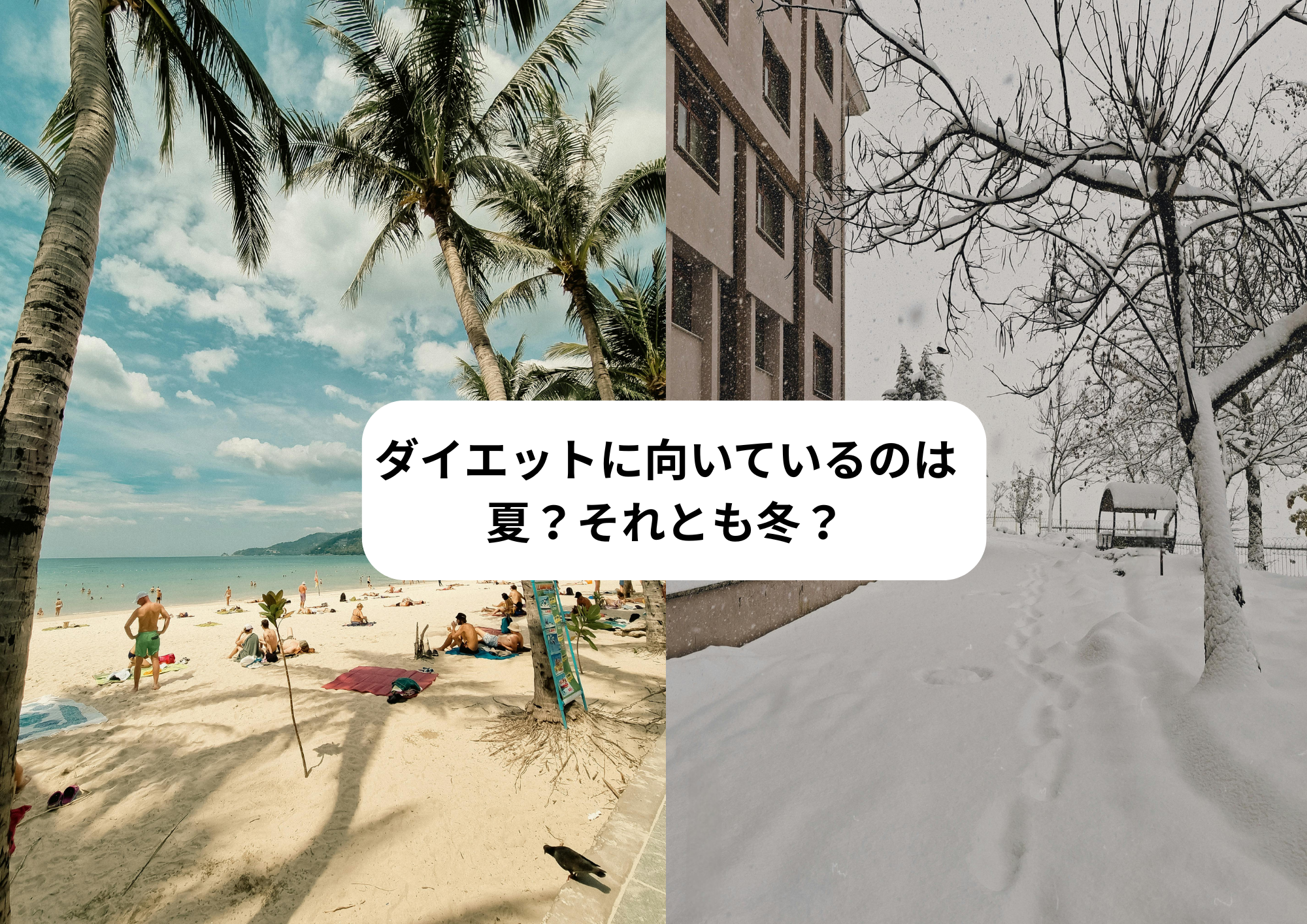 ダイエットに向いている時期は夏？それとも冬？