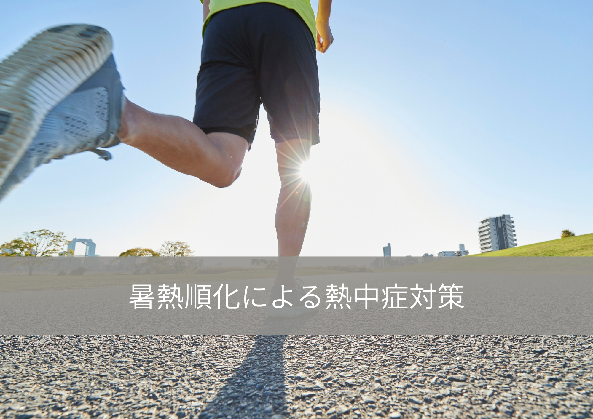 なぜ暑熱順化で熱中症に強くなるのか？ ～鍵を握る「血漿量」の増加～